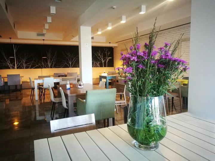 Heba Hotell Divčibare Exteriör bild